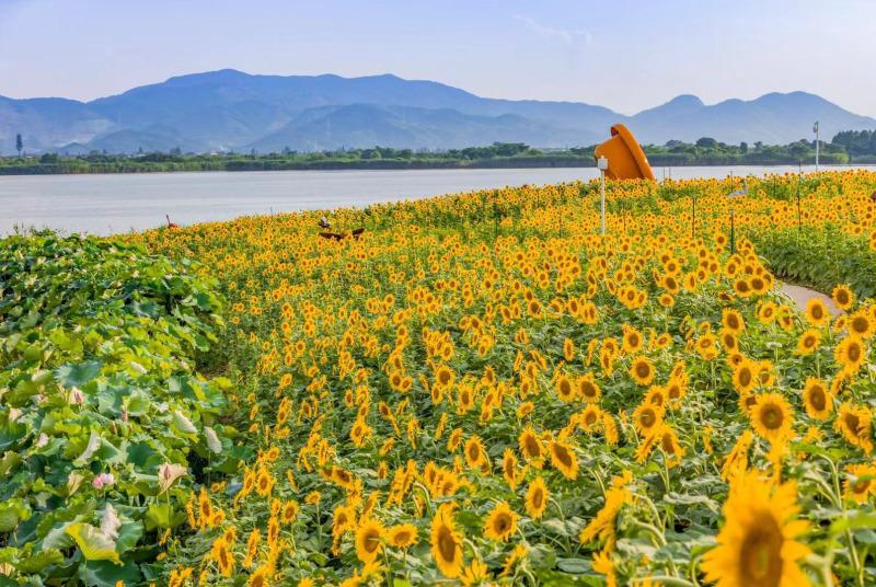 湖州有什么景点好玩的_湖州莫干山哪里好玩_有湖州居住证可以上湖州牌吗