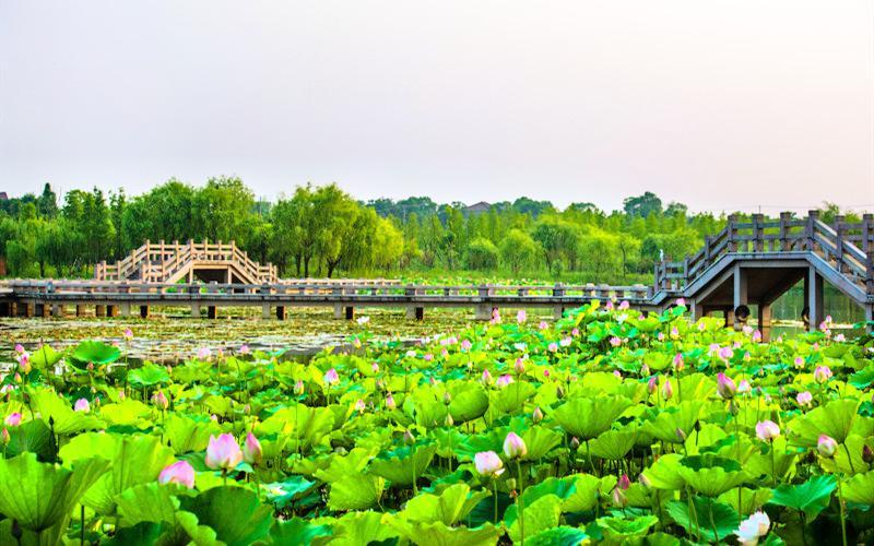 湖州有什么景点好玩的_有湖州居住证可以上湖州牌吗_湖州莫干山哪里好玩