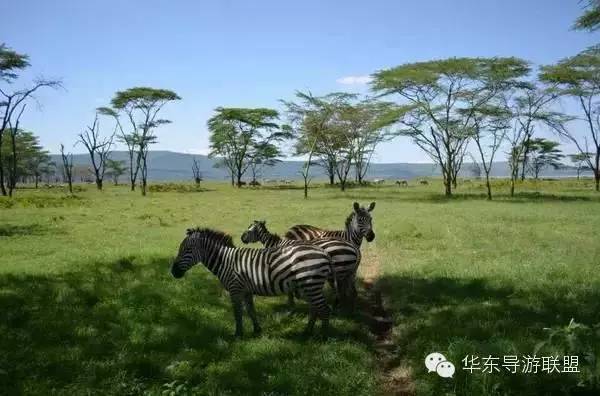 国外哪个国家旅游便宜_国外旅游定旅馆最便宜_小众便宜国外旅游