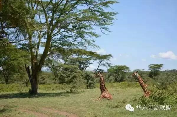 国外哪个国家旅游便宜_小众便宜国外旅游_国外旅游定旅馆最便宜