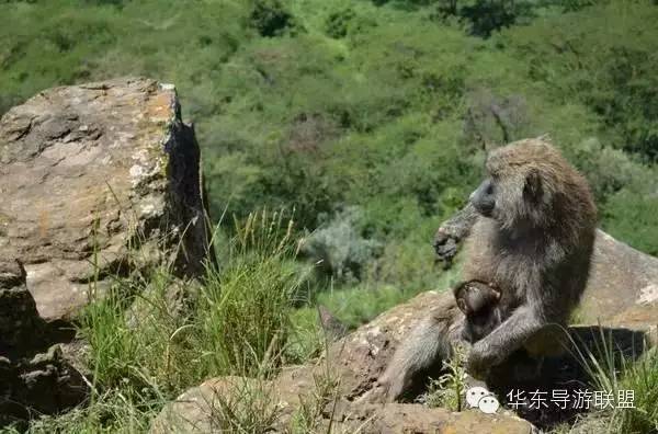 小众便宜国外旅游_国外哪个国家旅游便宜_国外旅游定旅馆最便宜