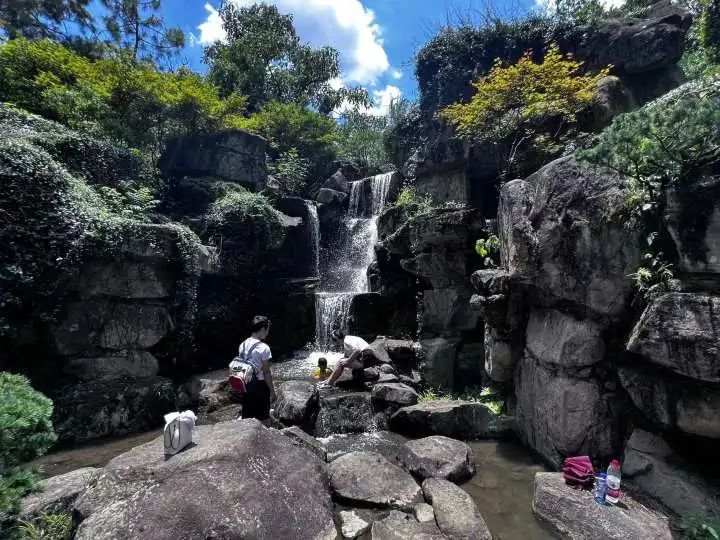 西湖有什么好玩的景点_废话诗走红网友仿写欢乐吐槽_刘诗诗大婚妈妈意外走红