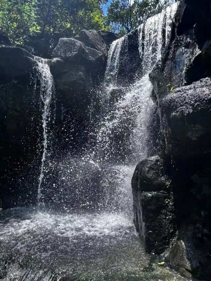 废话诗走红网友仿写欢乐吐槽_西湖有什么好玩的景点_刘诗诗大婚妈妈意外走红