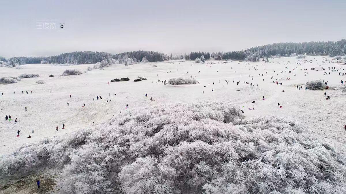 2023年元旦还有倒计时3天仙女山耍雪不用愁