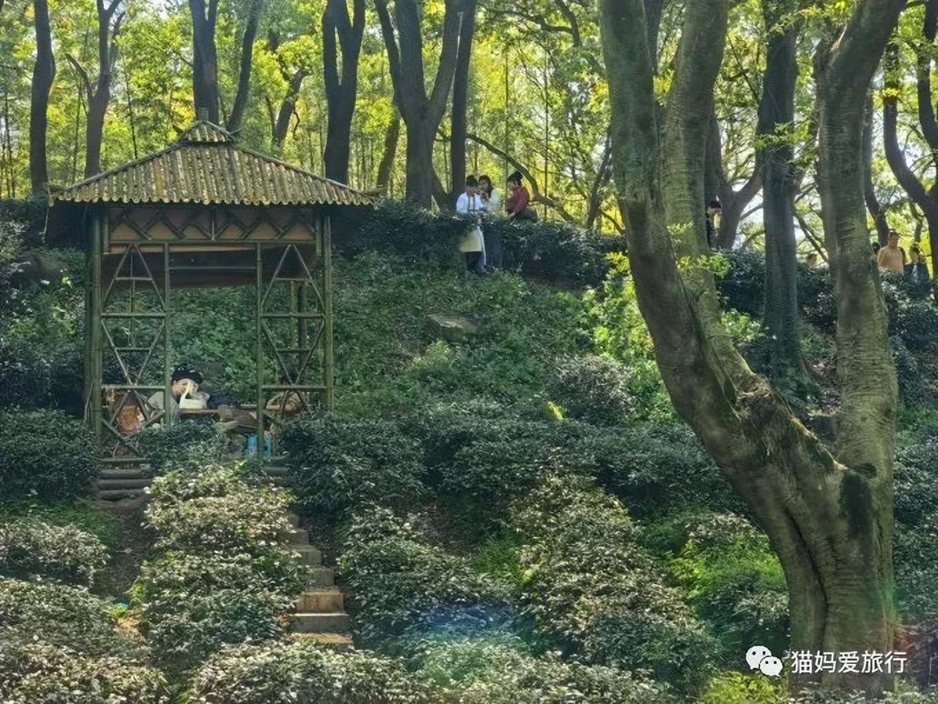 好玩苏州免费地方有哪些景点_苏州有什么免费好玩的地方_苏州免费好玩的地方