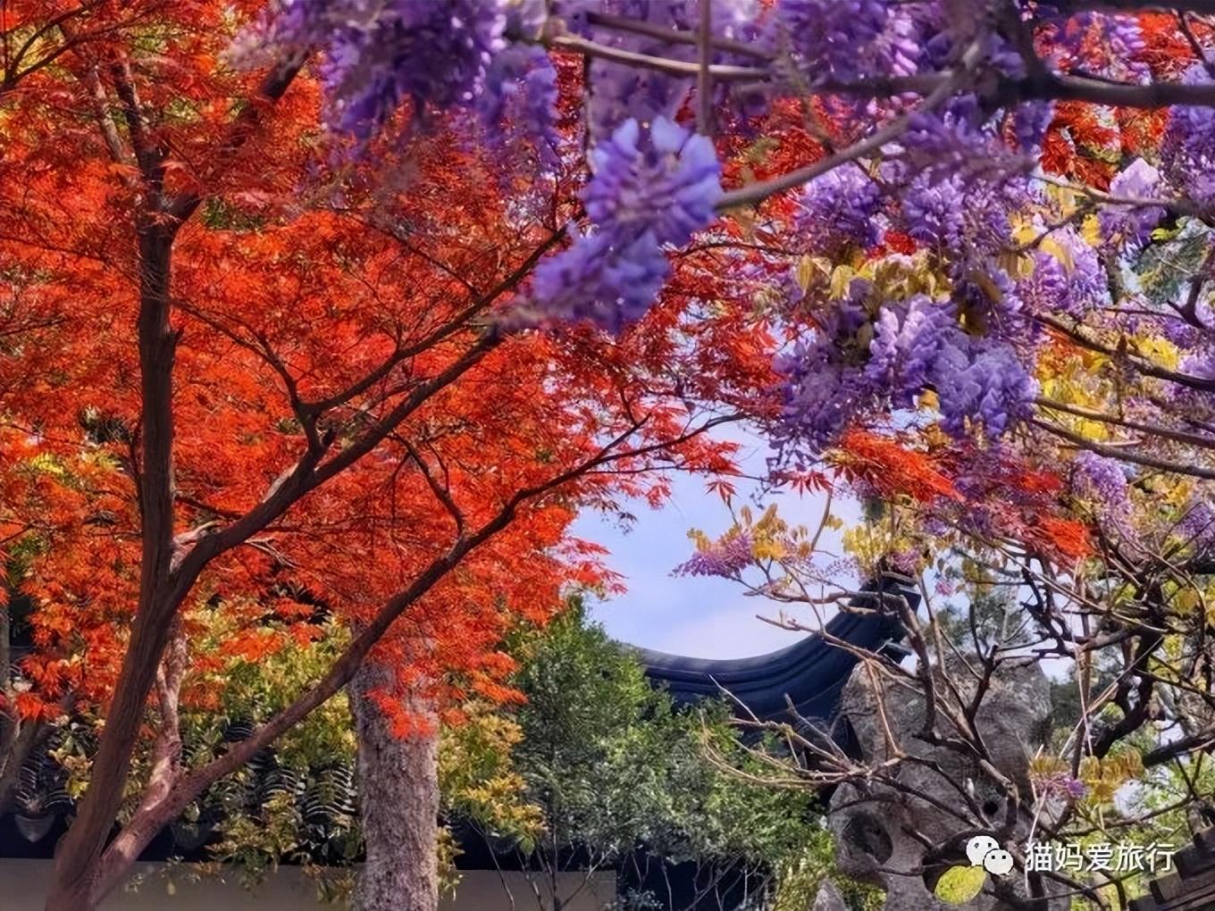 苏州有什么免费好玩的地方_好玩苏州免费地方有哪些景点_苏州免费好玩的地方