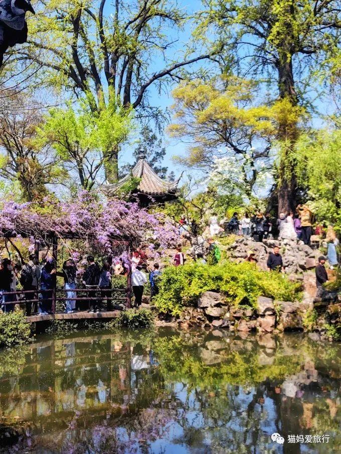 苏州免费好玩的地方_好玩苏州免费地方有哪些景点_苏州有什么免费好玩的地方