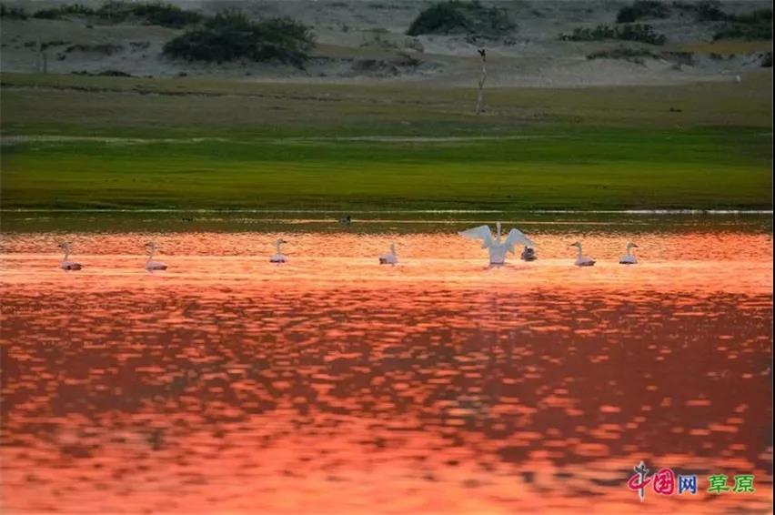 浑善达克沙地旅游攻略_浑善达克沙地治理现状_浑善达克自驾游