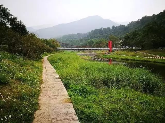 深圳龙华游玩_深圳龙华好玩的景点_深圳龙华著名景点