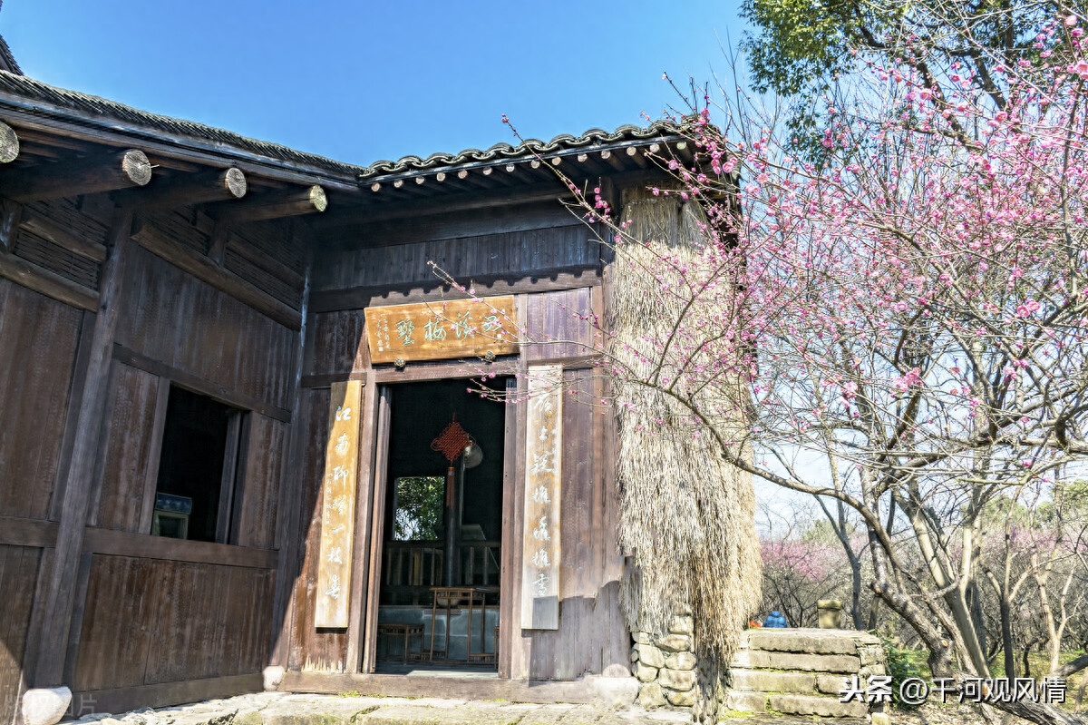 西溪湿地东区入口在哪_西溪湿地东区门票价格_西溪湿地东区旅游攻略