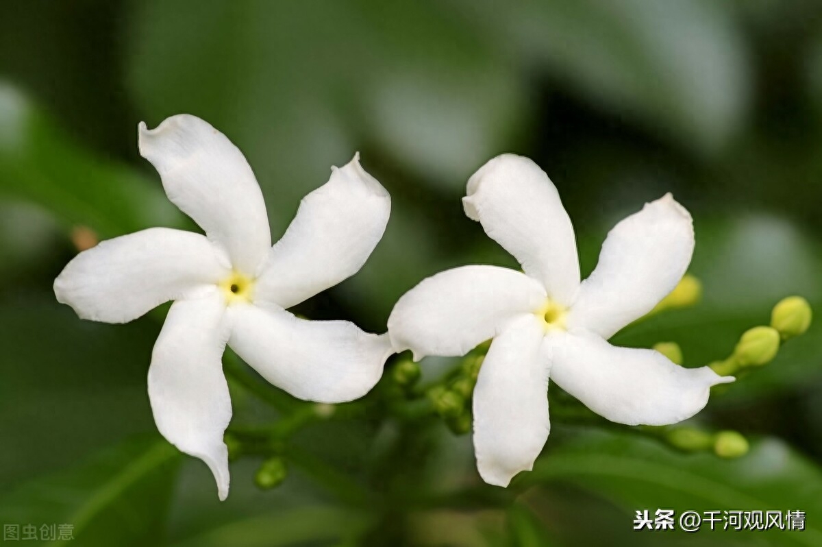 西溪湿地东区入口在哪_西溪湿地东区旅游攻略_西溪湿地东区门票价格