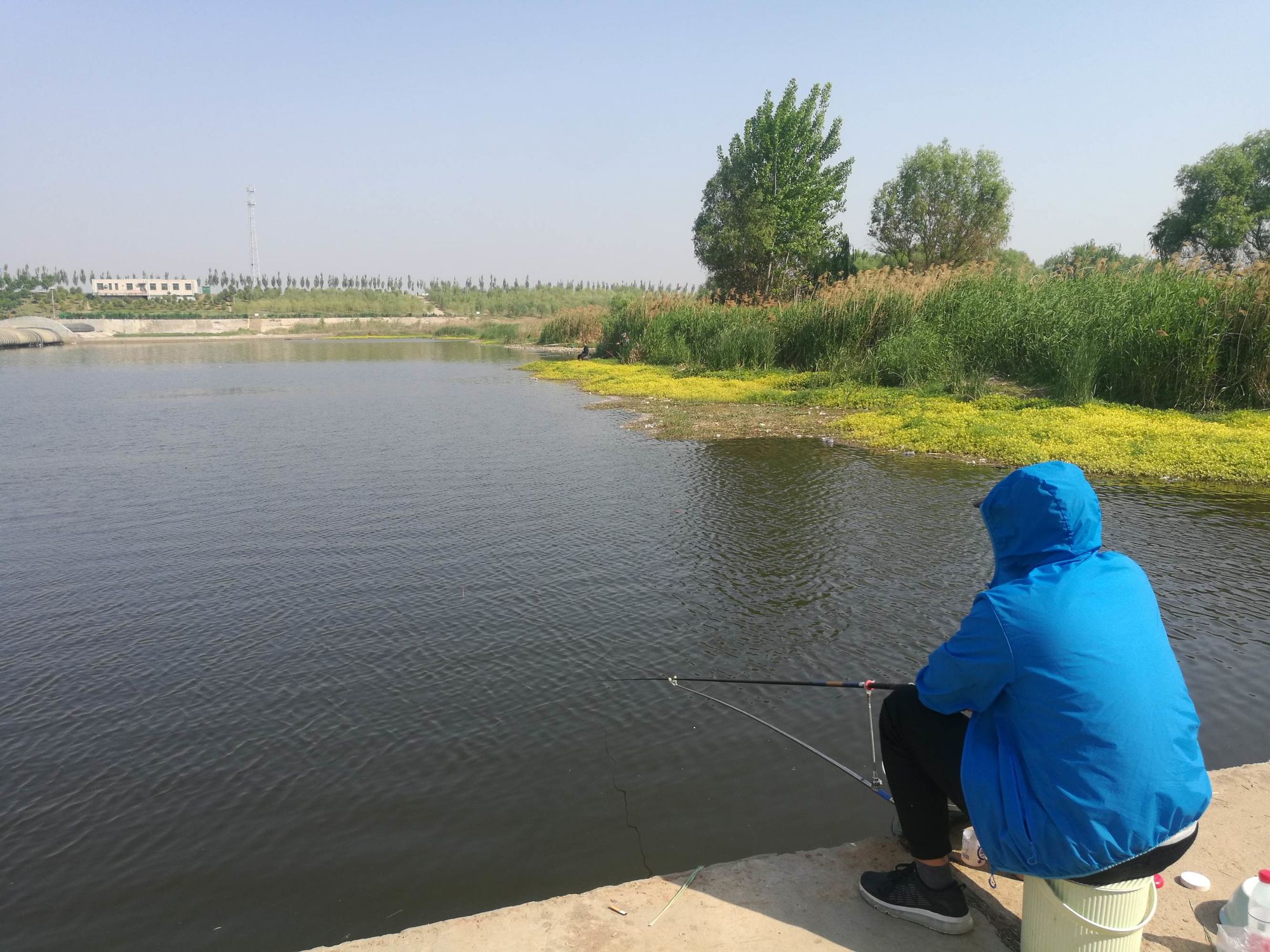 西溪湿地东区入口在哪_西溪湿地东区门票价格_西溪湿地东区旅游攻略