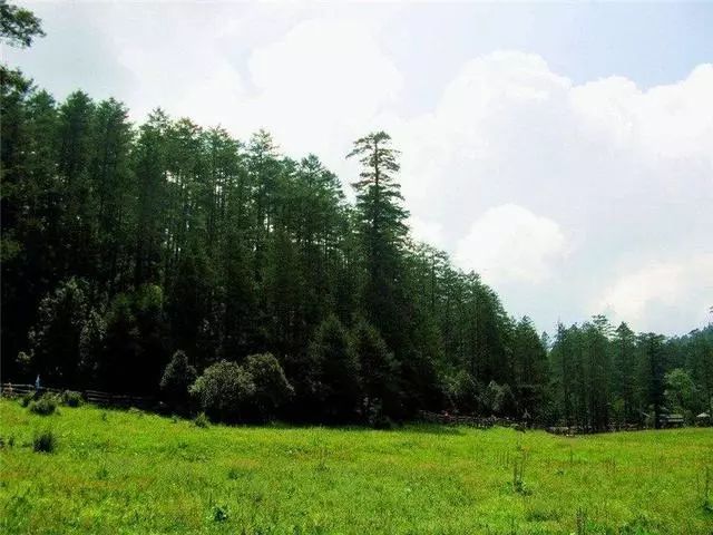 玉龙雪山了旅游攻略_玉龙雪山山路_雪山攻略玉龙旅游路线