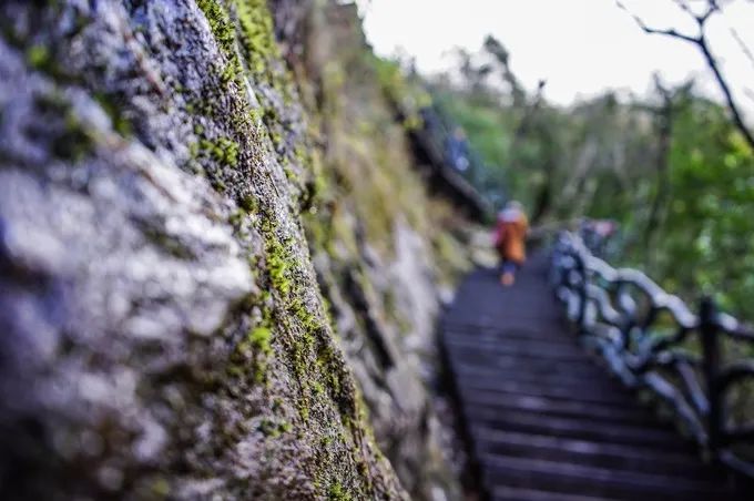 天堂寨旅游攻略自驾_天堂寨自驾游车停哪_自驾天堂寨车可以开到景区哪里