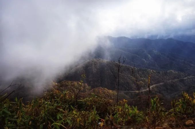 天堂寨旅游攻略自驾_自驾天堂寨车可以开到景区哪里_天堂寨自驾游车停哪