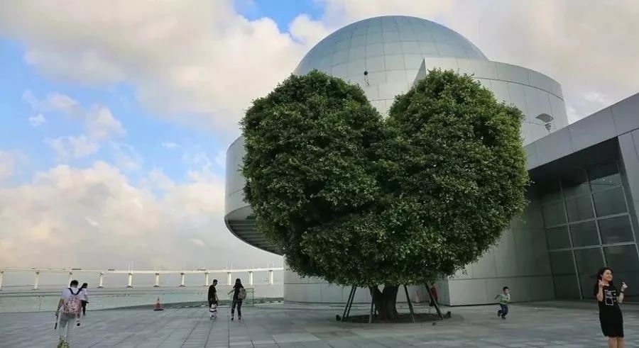 好玩澳门景点有哪些_好玩澳门景点推荐_澳门好玩的景点