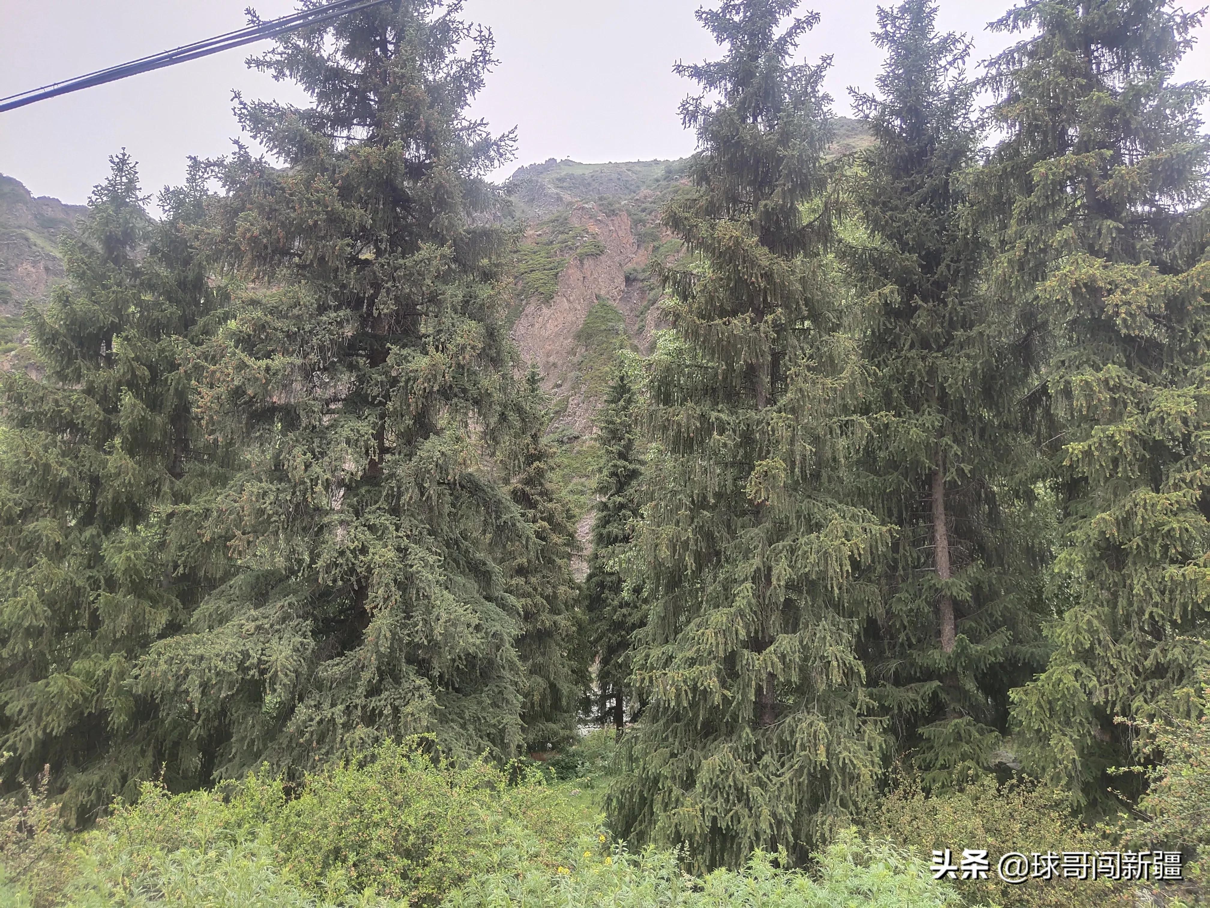 好玩的山区景点_南山区免费的地方好玩_免费山区旅游景点