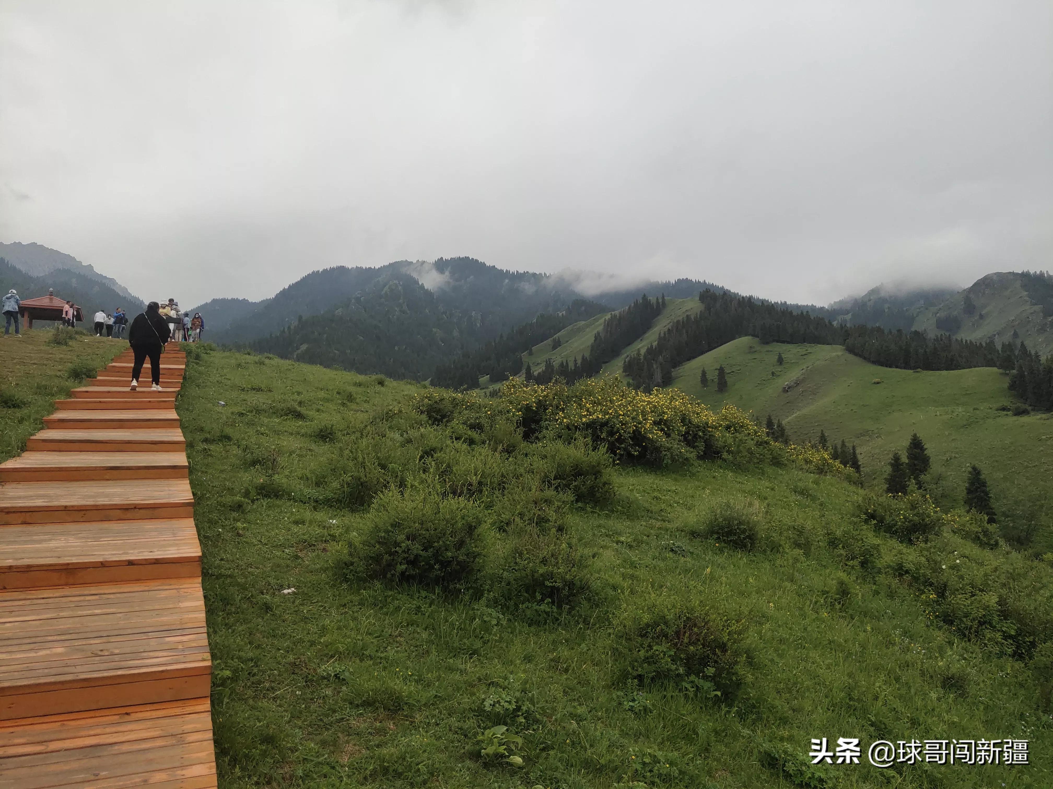 好玩的山区景点_南山区免费的地方好玩_免费山区旅游景点