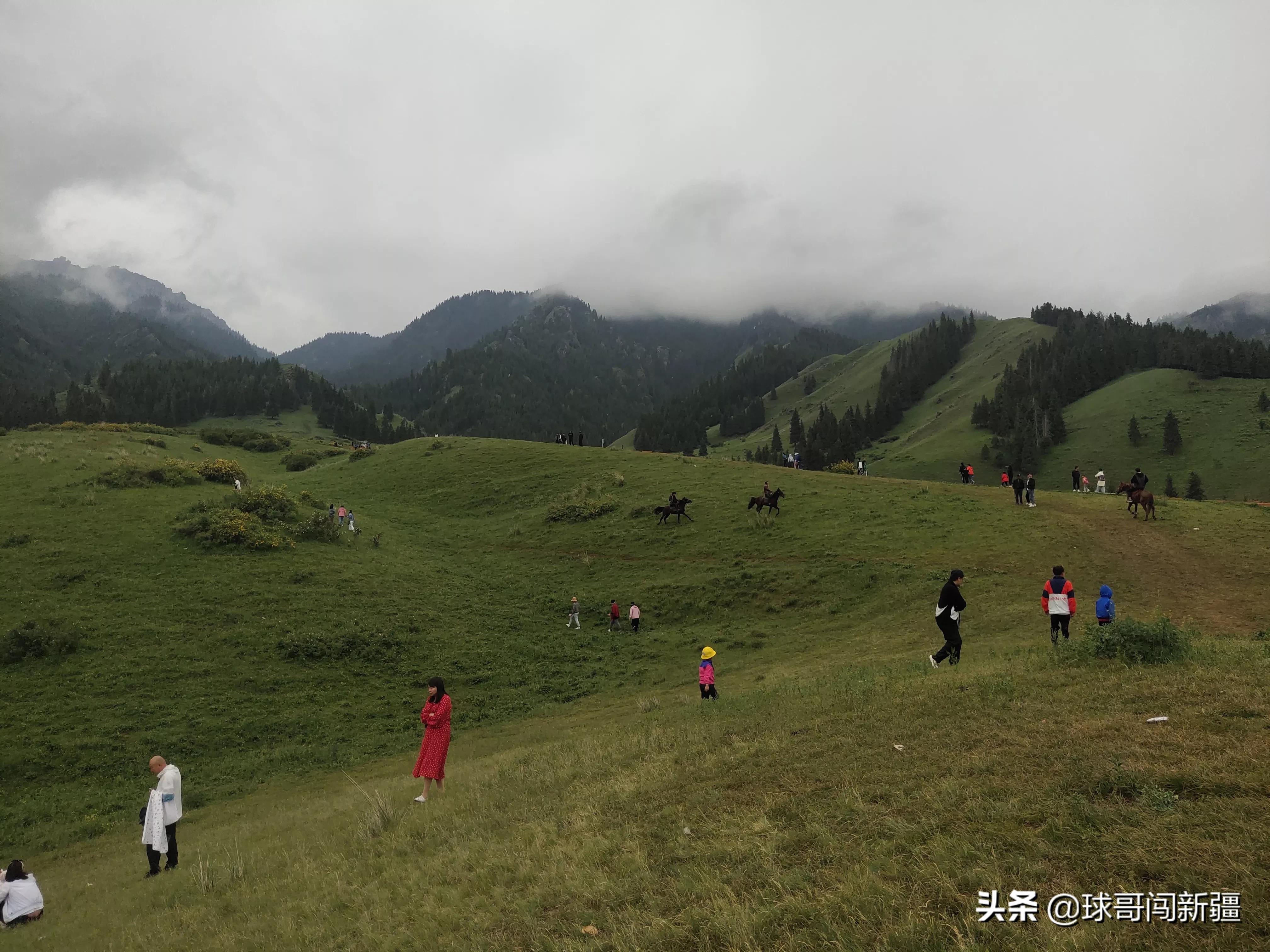 南山区免费的地方好玩_免费山区旅游景点_好玩的山区景点