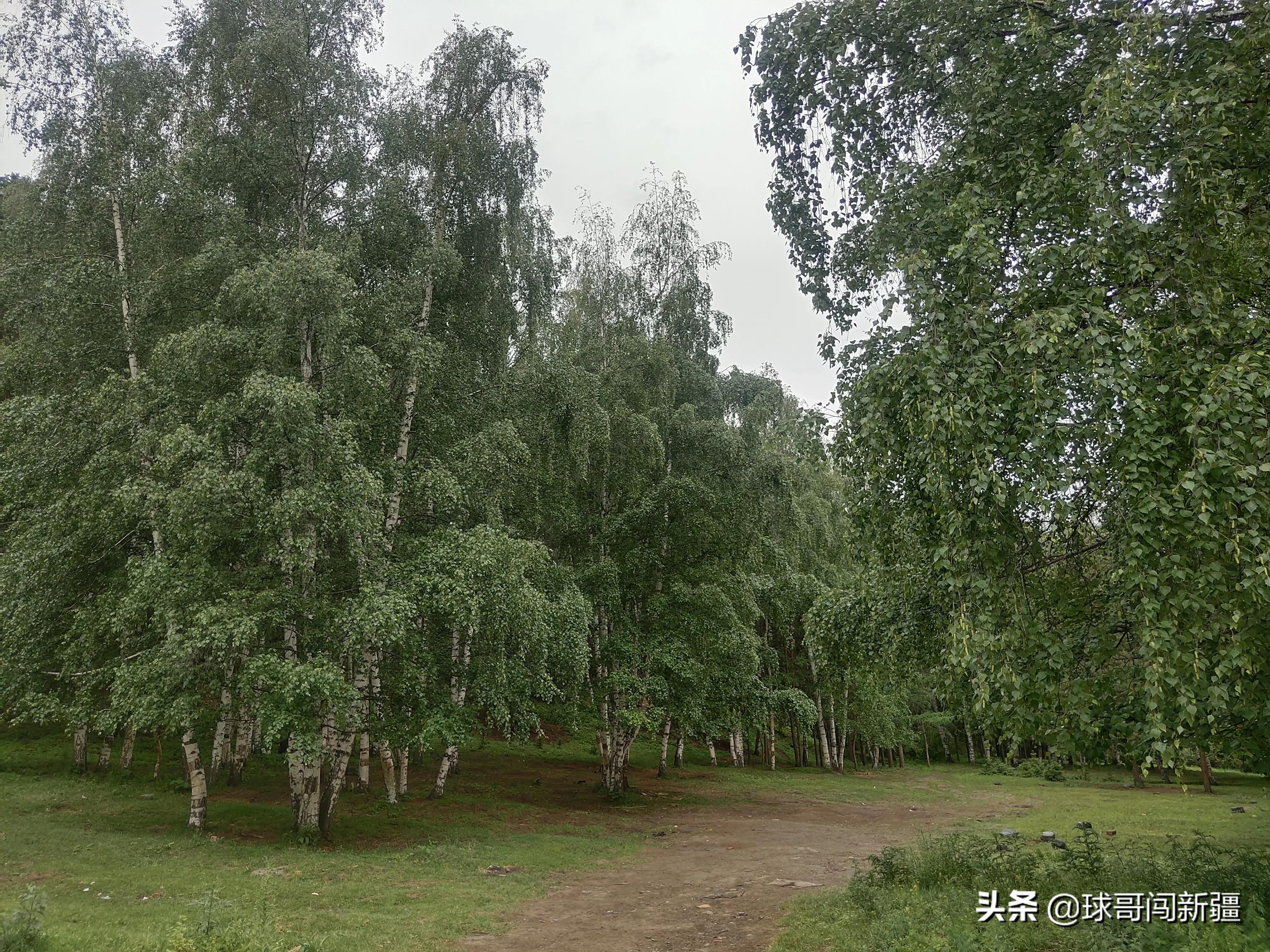 好玩的山区景点_免费山区旅游景点_南山区免费的地方好玩