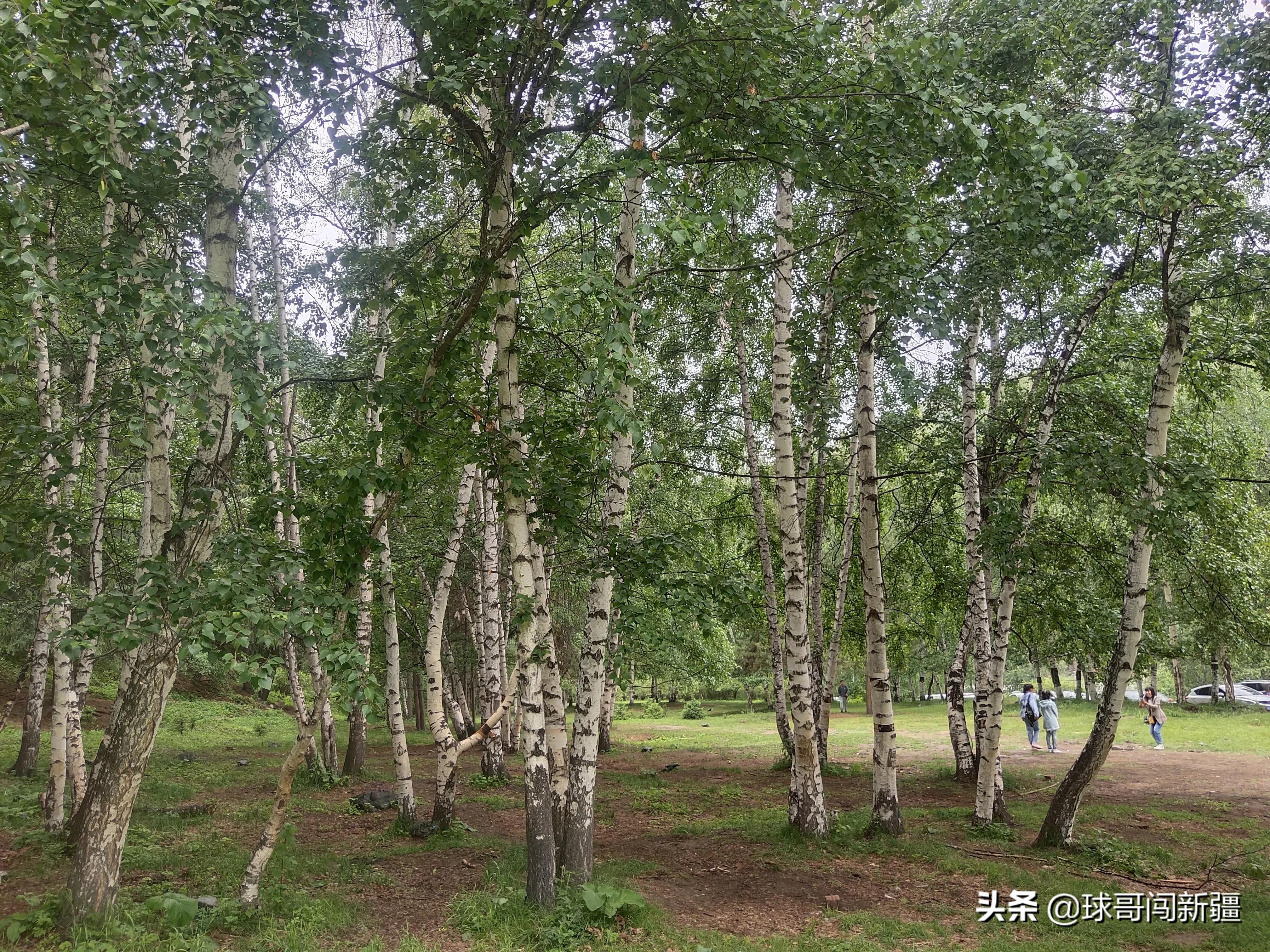 南山区免费的地方好玩_免费山区旅游景点_好玩的山区景点