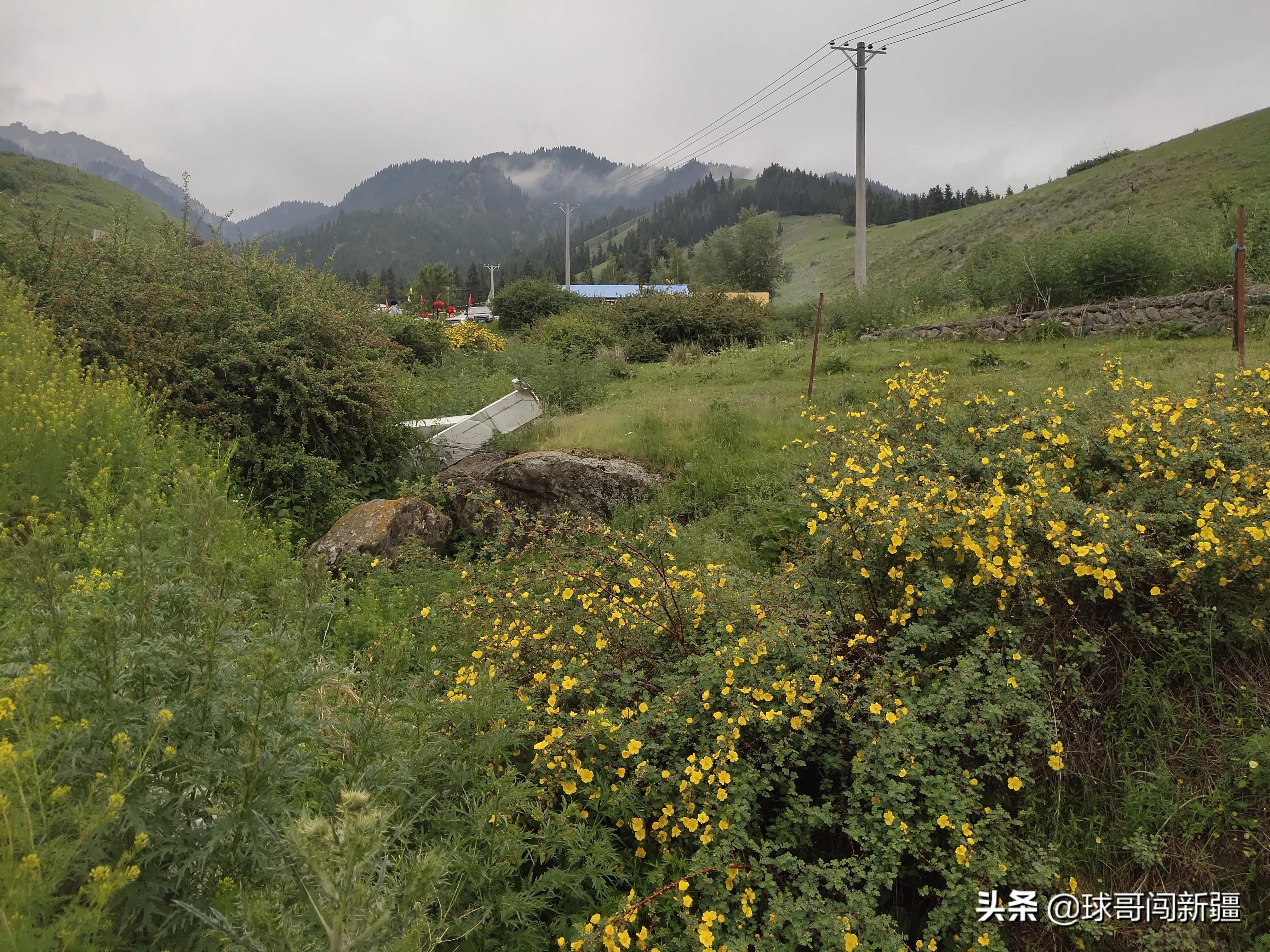 免费山区旅游景点_南山区免费的地方好玩_好玩的山区景点