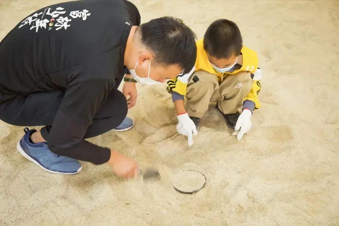 上海大自然野生昆虫馆旅游攻略_上海野生昆虫博物馆开放时间_上海昆虫馆开放时间