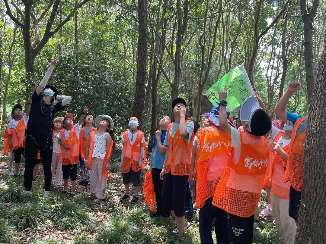 上海野生昆虫博物馆开放时间_上海昆虫馆开放时间_上海大自然野生昆虫馆旅游攻略