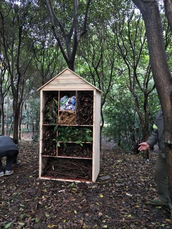 上海昆虫馆开放时间_上海野生昆虫博物馆介绍_上海大自然野生昆虫馆旅游攻略