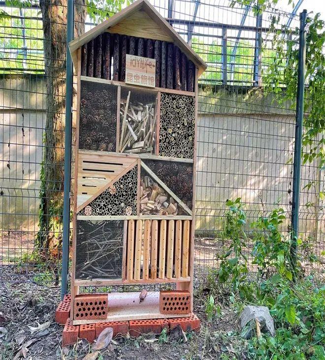 上海大自然野生昆虫馆旅游攻略_上海野生昆虫博物馆介绍_上海昆虫馆开放时间