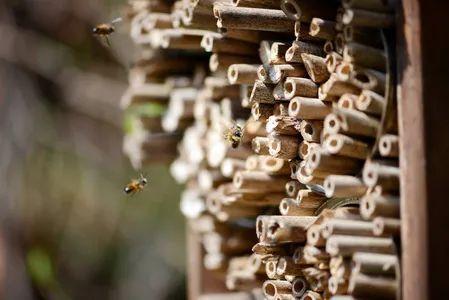 上海野生昆虫博物馆介绍_上海昆虫馆开放时间_上海大自然野生昆虫馆旅游攻略