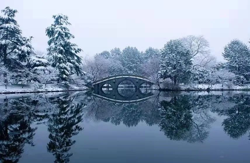 夫子庙旅游攻略_攻略旅游夫子庙的路线_夫子庙旅游指南