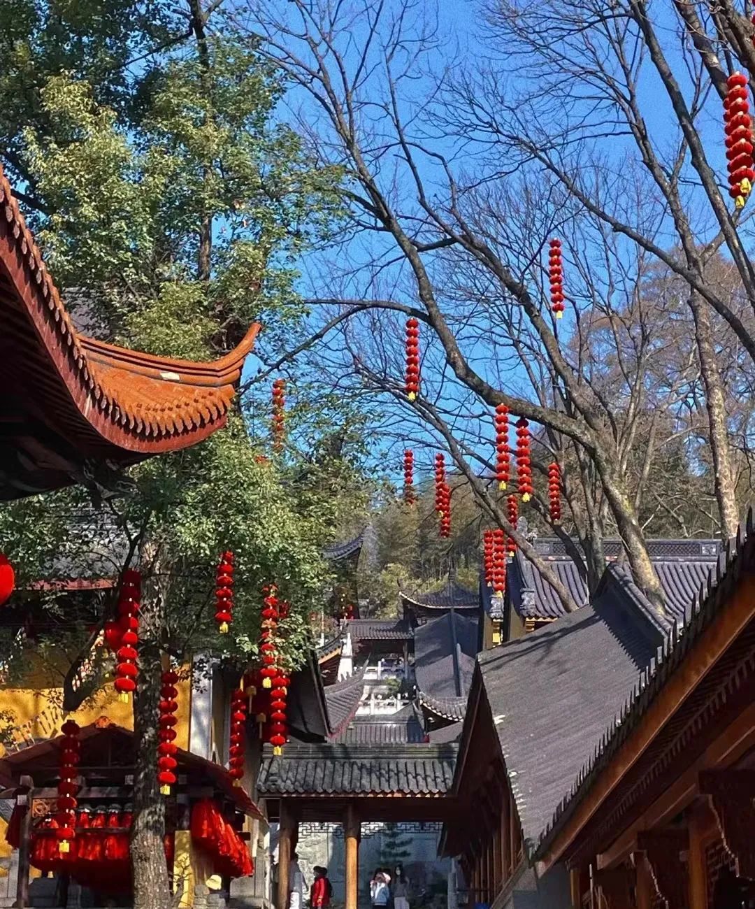 攻略旅游夫子庙的路线_夫子庙旅游指南_夫子庙旅游攻略