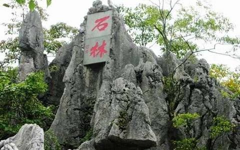 2014从苏州到千岛湖t自驾游旅游攻略_武汉到千岛湖旅游攻略_上海到千岛湖旅游攻略