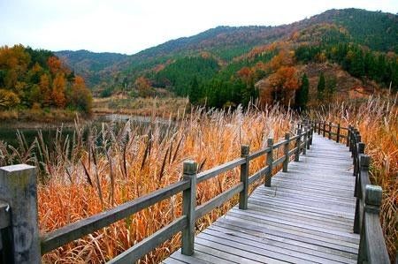 上海到千岛湖旅游攻略_2014从苏州到千岛湖t自驾游旅游攻略_武汉到千岛湖旅游攻略