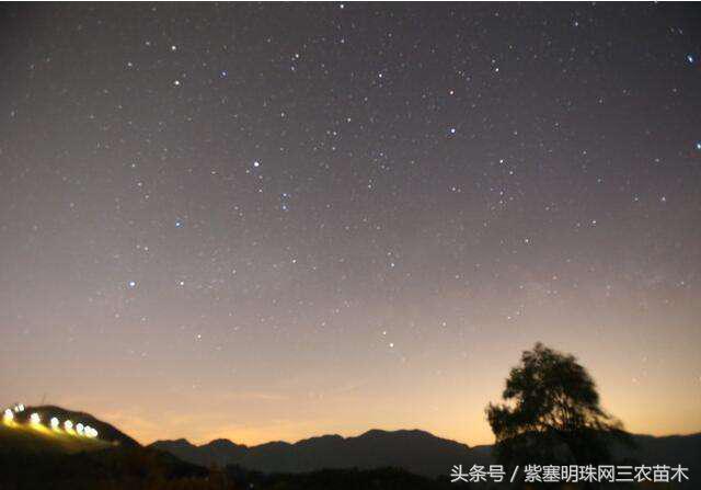 天目山农家乐旅游攻略_银河山庄房价_星河山庄在哪里