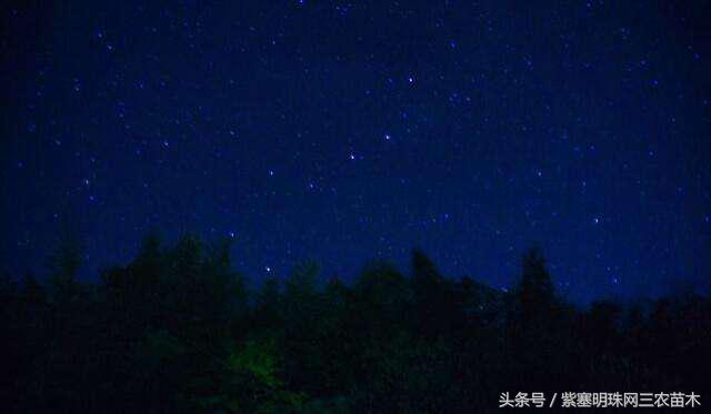 银河山庄房价_星河山庄在哪里_天目山农家乐旅游攻略