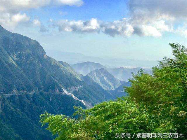 星河山庄在哪里_银河山庄房价_天目山农家乐旅游攻略