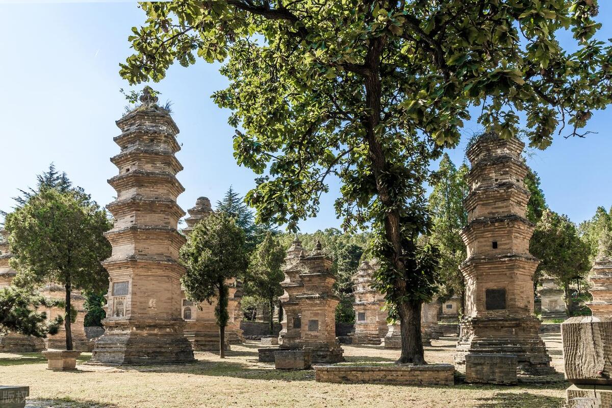 河南少林寺门票优惠_塔林旅游攻略_河南省少林寺景区免不免门票