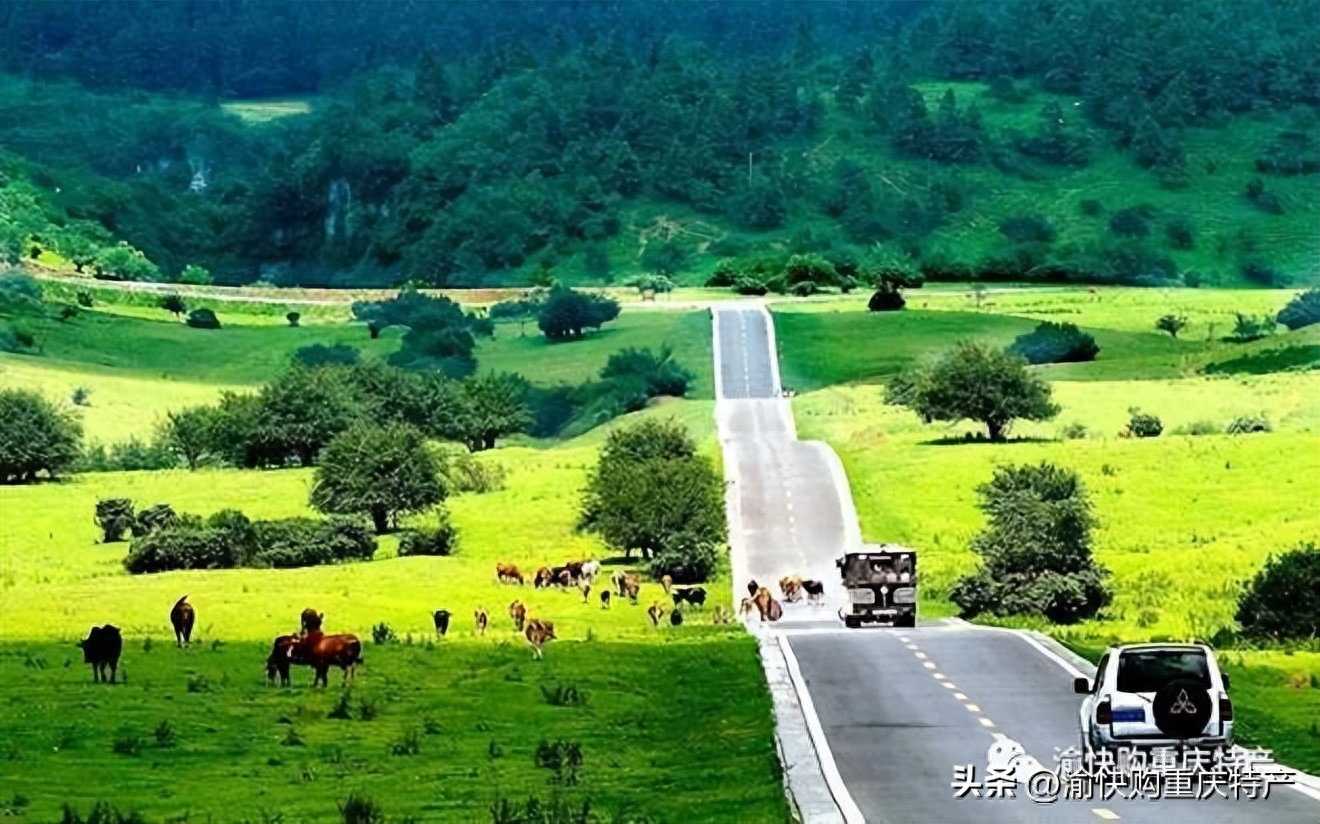 攻略旅游武隆重庆_武隆.旅游攻略_武隆旅游路线攻略