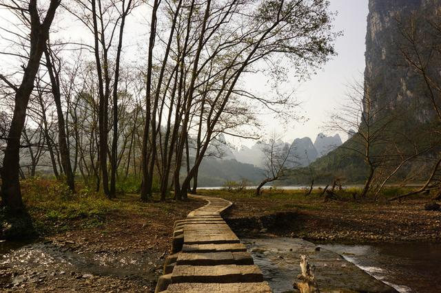 广西元宝山在哪里_广西元宝山旅游景点在哪里_广西元宝山旅游攻略