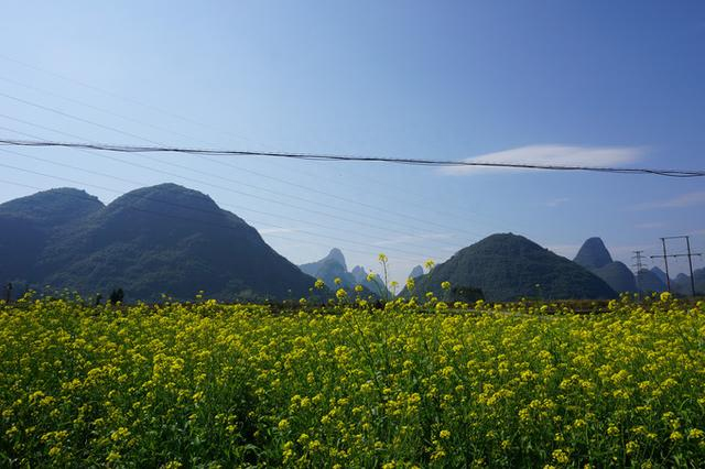 广西元宝山旅游攻略_广西元宝山在哪里_广西元宝山旅游景点在哪里