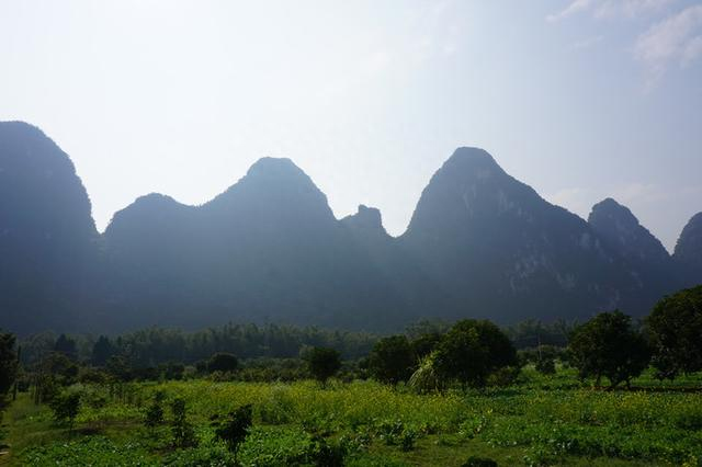 广西元宝山旅游攻略_广西元宝山在哪里_广西元宝山旅游景点在哪里