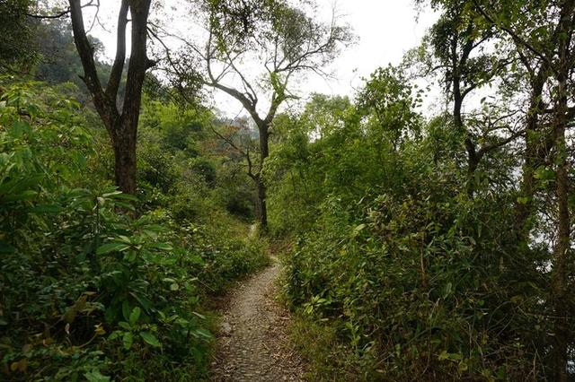 广西元宝山在哪里_广西元宝山旅游景点在哪里_广西元宝山旅游攻略