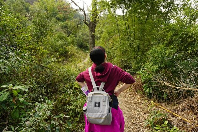 广西元宝山在哪里_广西元宝山旅游景点在哪里_广西元宝山旅游攻略