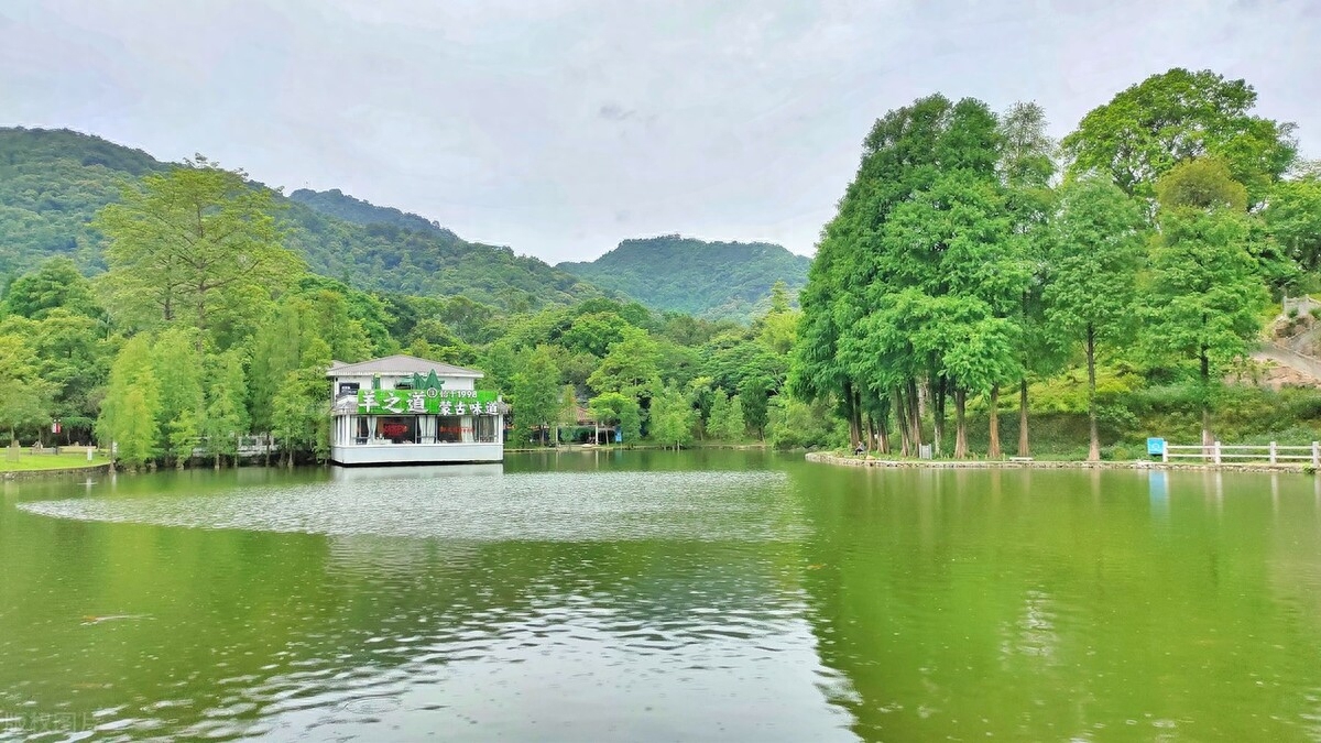 中山好玩的景区_好玩中山景点有哪些_中山有什么好玩的景点