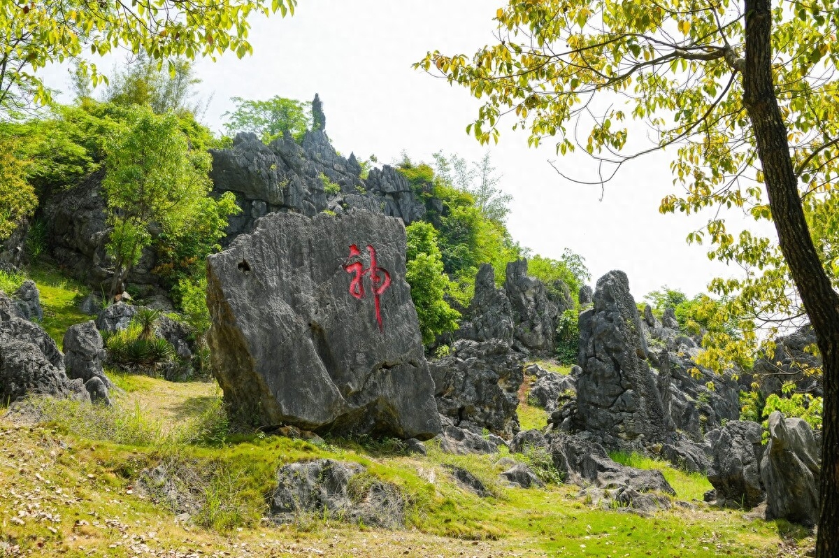 中山好玩的景区_中山有什么好玩的景点_好玩中山景点有哪些