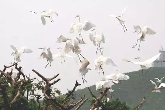 儋州的景区_儋州有什么好玩的景点_好玩景点儋州有哪些地方