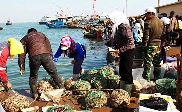 止锚湾门票多少钱_止锚湾景点_止锚湾旅游攻略