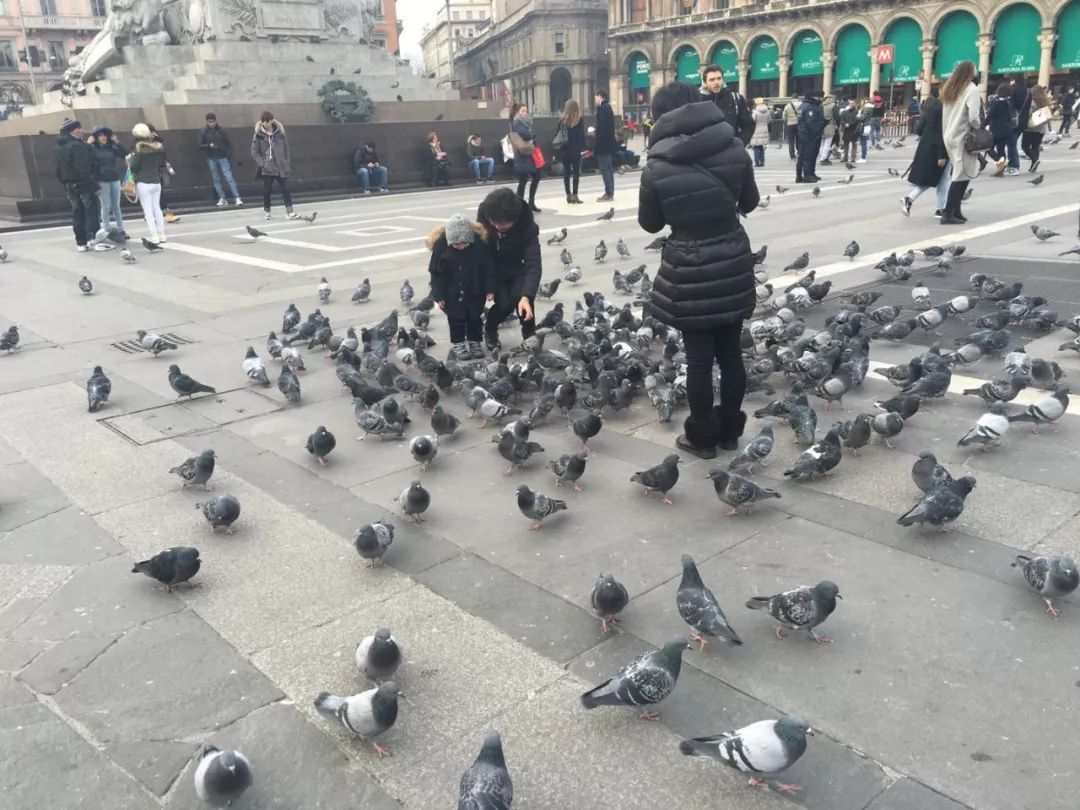 出国带狗要什么条件_带狗出国旅游需要什么手续_带狗狗出国旅游需要什么手续